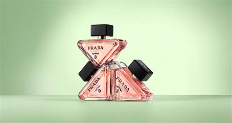 prada manitoba|Prada canada.